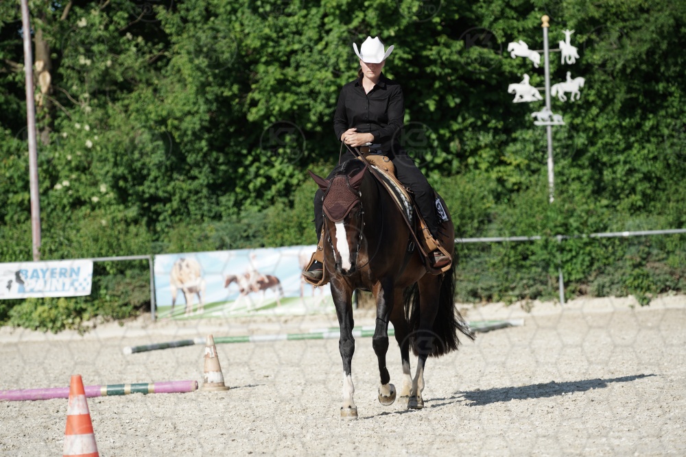 s_APF06940.jpg